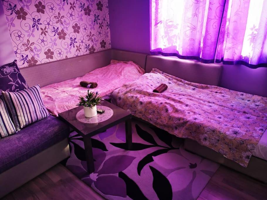 Apartment Lavender, Near To Airport Sofia Sófia Exterior foto